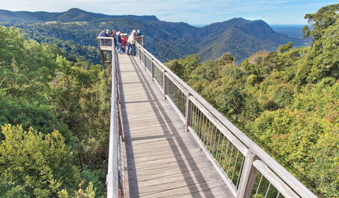 Skywalk Lookout - Tourism TAS 1