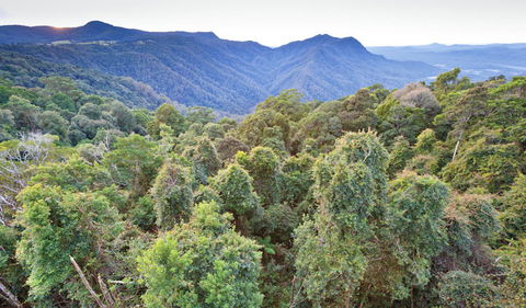 Skywalk Lookout - Tourism TAS 2