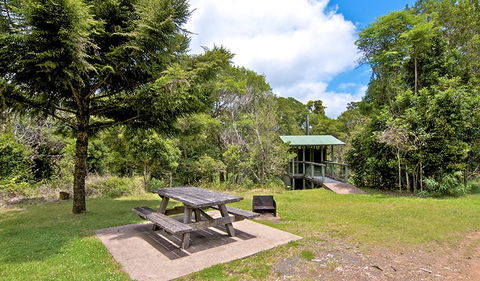 Antarctic Beech Picnic Area - Hobart Tourism 1