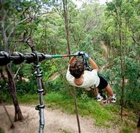 TreeTop Challenge - Tourism TAS