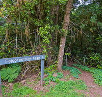 Falcorostrum loop walking track - Hobart Tourism