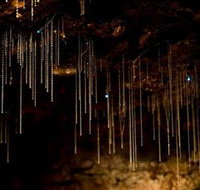 Tamborine Mountain Glow Worm Caves - Tourism TAS