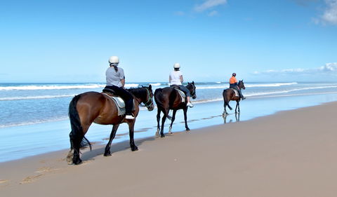Worimi National Park - Tourism TAS 1