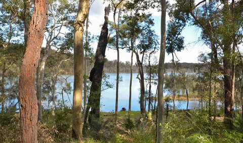 Lake Walking Track - Tourism TAS 1