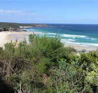 South Pacific Heathland Reserve - Hobart Tourism