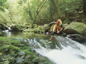 Lower Ballanjui Falls - Hobart Tourism 0