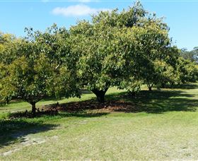 The Avocado Farm - Tourism TAS 1