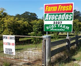 The Avocado Farm - Tourism TAS 3