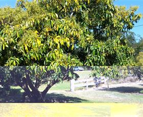 The Avocado Farm - Tourism TAS 2