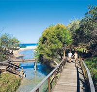 Eli Creek - Tourism TAS