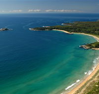 Cookies Beach Picnic Area - South Durras - Tourism TAS