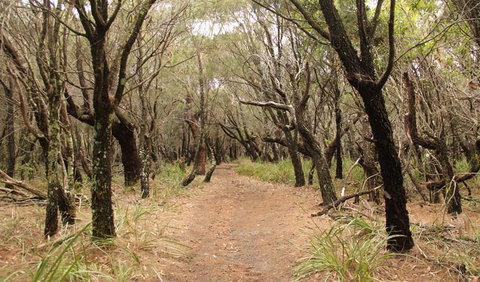 Pretty Beach To Snapper Point Walking Track - Tourism TAS 0