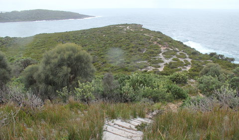 Pretty Beach To Snapper Point Walking Track - Tourism TAS 2