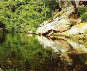 Numinbah Valley Adventure Trails - Hobart Tourism 1