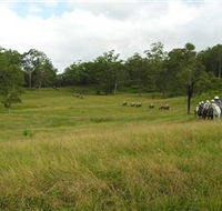 Numinbah Valley Adventure Trails - Tourism TAS