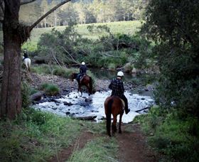 Numinbah Valley Adventure Trails - Hobart Tourism 3