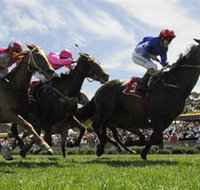 Moruya Racecourse - Hobart Tourism