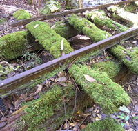 Wootton Historical Railway Walk - Hobart Tourism