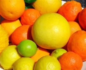 Fruit Salad Tree Company - Tourism TAS 2
