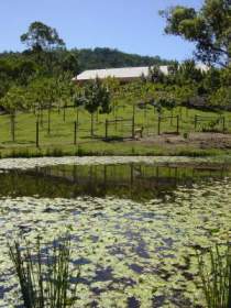 Mount Nathan Winery - Hobart Tourism 2