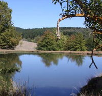 Oak Grove Walk Balingup - Tourism TAS