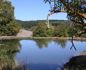 Oak Grove Walk, Balingup - Tourism TAS 0