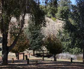 Oak Grove Walk, Balingup - Tourism TAS 2