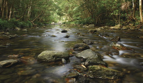 Plateau Circuit Loop Trail - Hobart Tourism 0