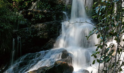 Bangalore Falls Walking Track - Hobart Tourism 3