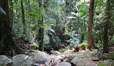 Wollumbin National Park - Hobart Tourism 2