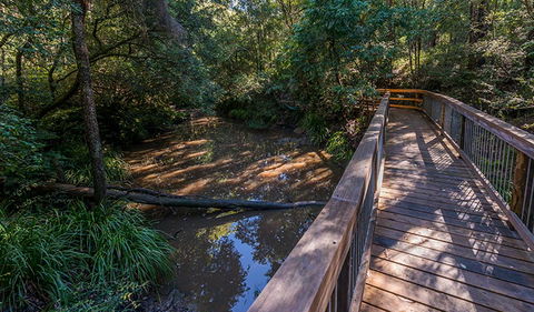 Ms Kellys Walking Track - Tourism TAS 0