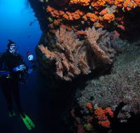 Gotham City Dive Site - Tourism TAS