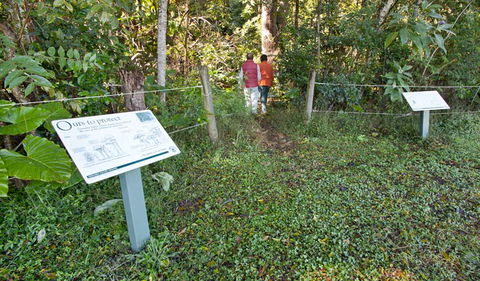 Coramba Nature Reserve - Hobart Tourism 0
