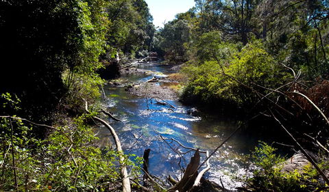 Coramba Nature Reserve - Hobart Tourism 1