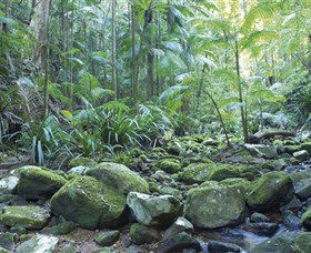 Rocky Creek Dam - Hobart Tourism 5