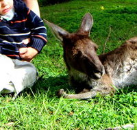 Bunbury Wildlife Park - Tourism TAS