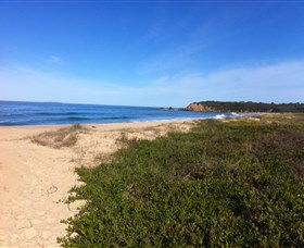 Lake Brou To Potato Point Walk - Tourism TAS 0