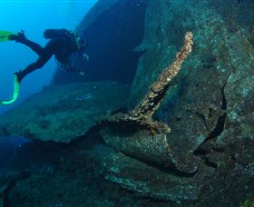 Murarrie QLD Tourism TAS