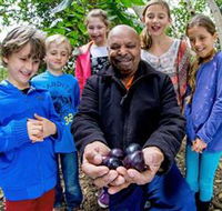 Wigay Aboriginal Culture Park - Hobart Tourism