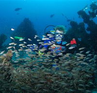 Aarhus Dive Site - Tourism TAS