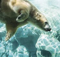 Australia's Sea World - Tourism TAS