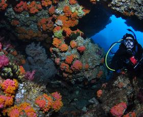 Cherubs Cave Dive Site - Tourism TAS 2