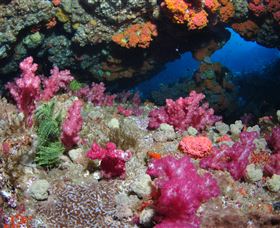 Cherubs Cave Dive Site - Tourism TAS 0