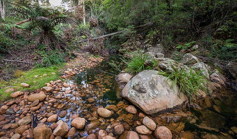 Biamanga National Park - Hobart Tourism 2