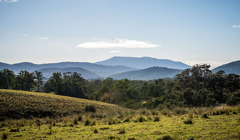 Biamanga National Park - Hobart Tourism 3