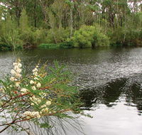 Wallingat National Park - Tourism TAS