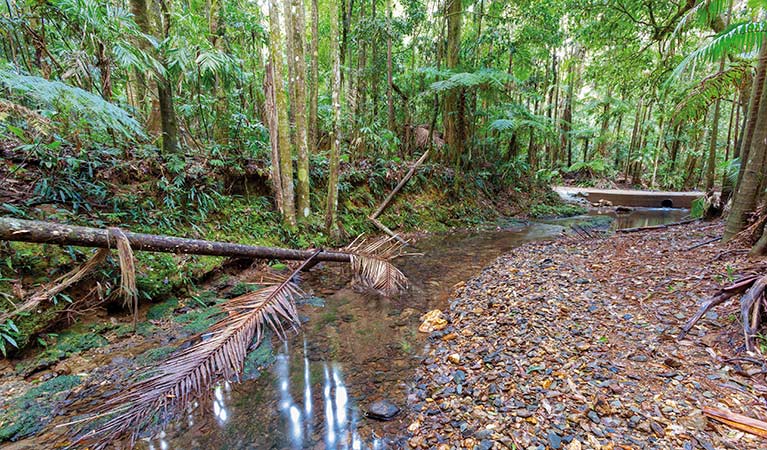 Karangi NSW Tourism TAS