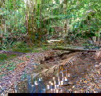 Ulidarra National Park - Tourism TAS