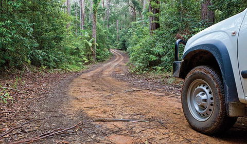 Ulidarra National Park - Hobart Tourism 2