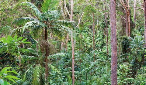 Ulidarra National Park - Hobart Tourism 3